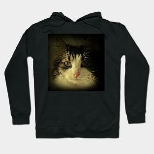 Mister Tiger Hoodie